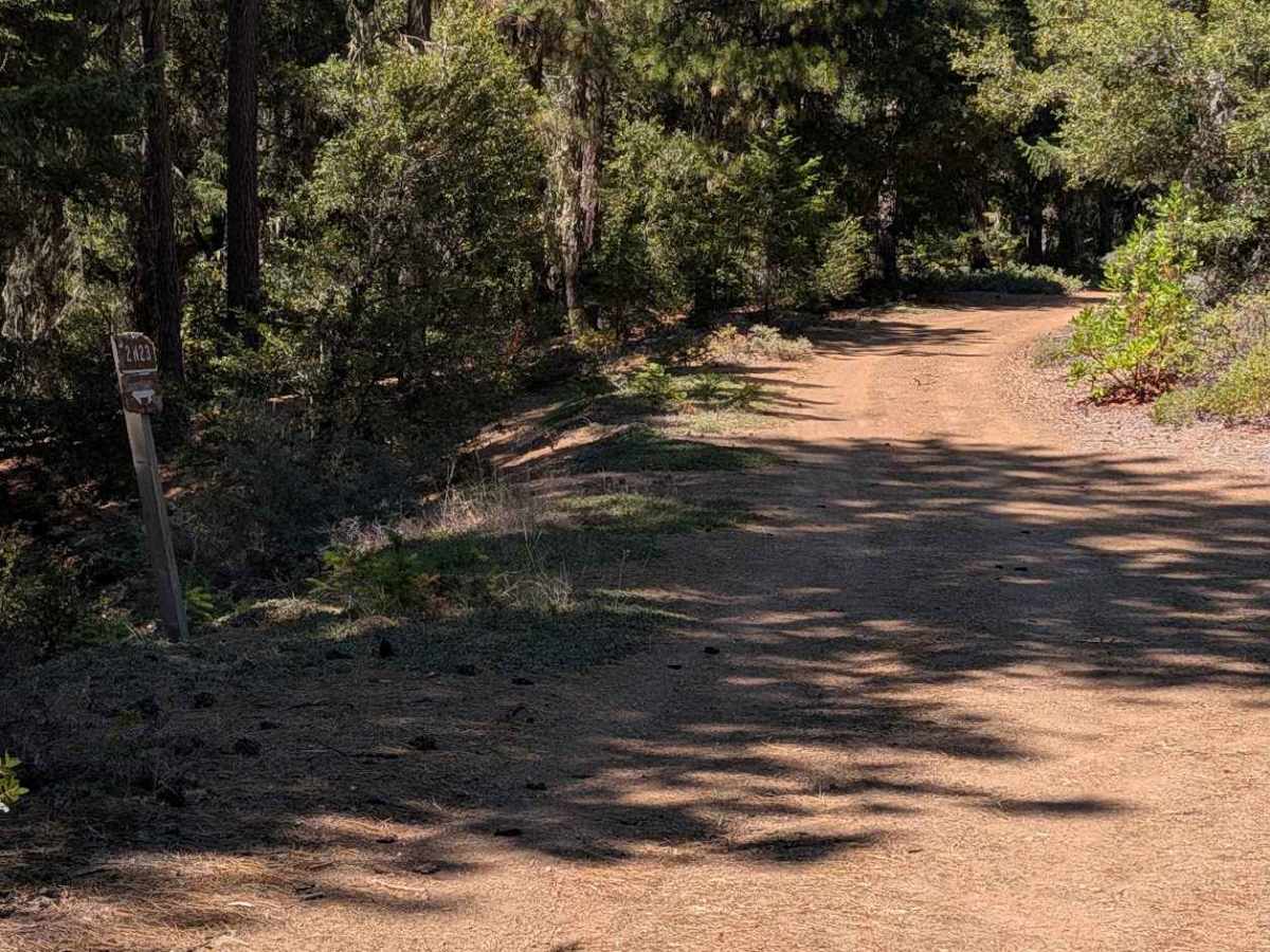 Oak Ridge Road - FS 2N23  photo 5