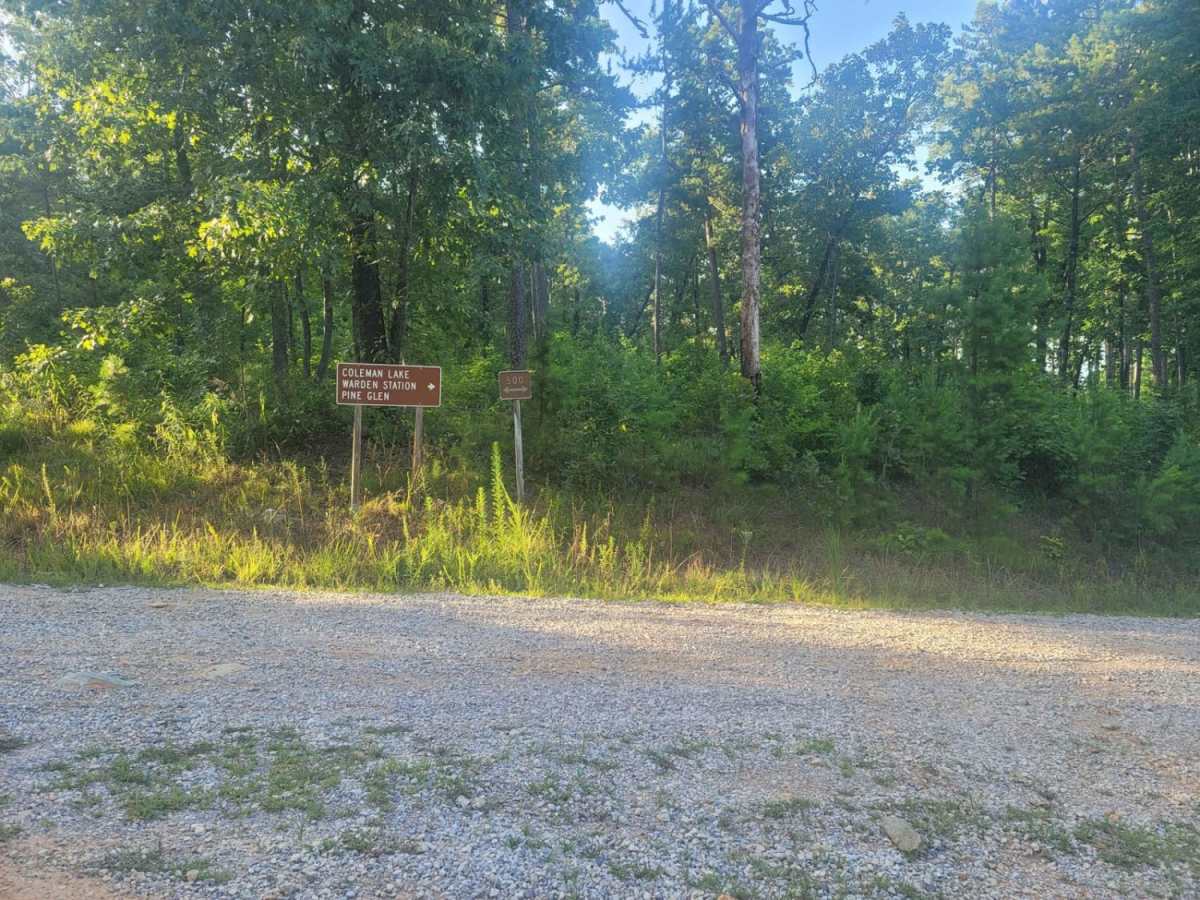 533 - Vaughn Road photo 2