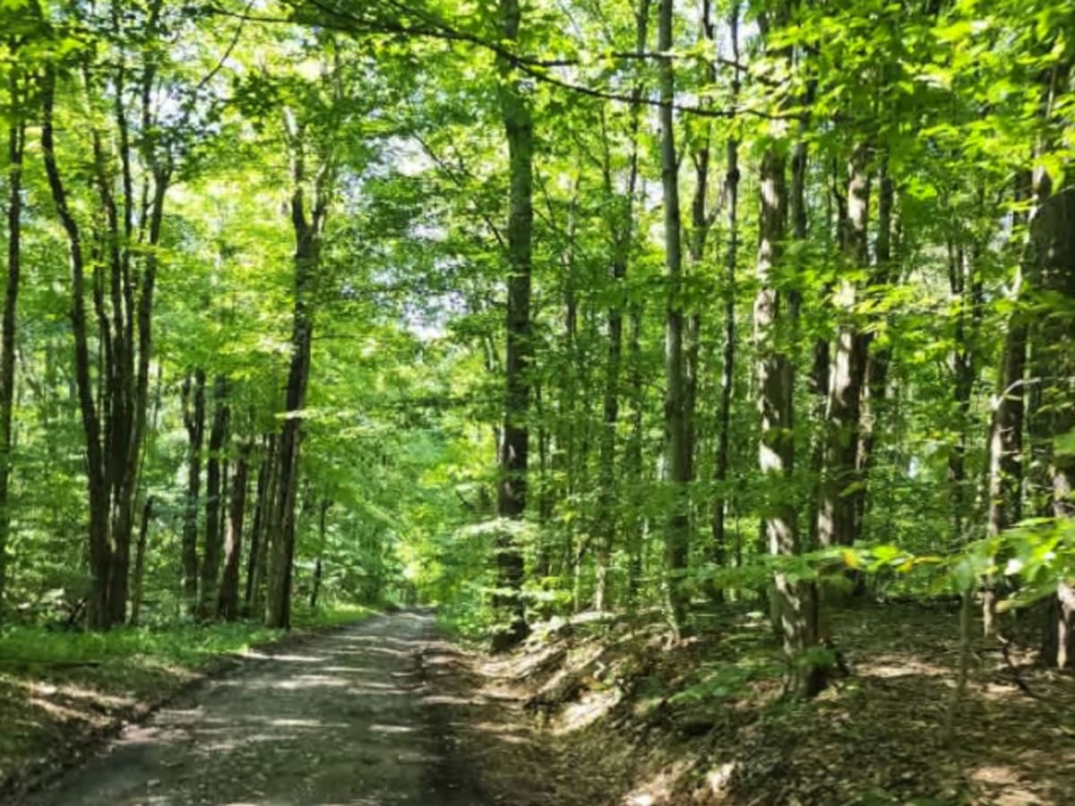 Boody Hill Trail photo 6
