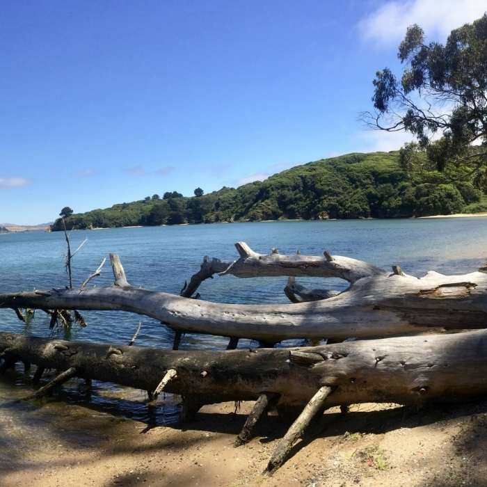 Marshall Beach...beautiful! Has a Caribbean island beach feel to it. :) Near Marshall Beach Trail