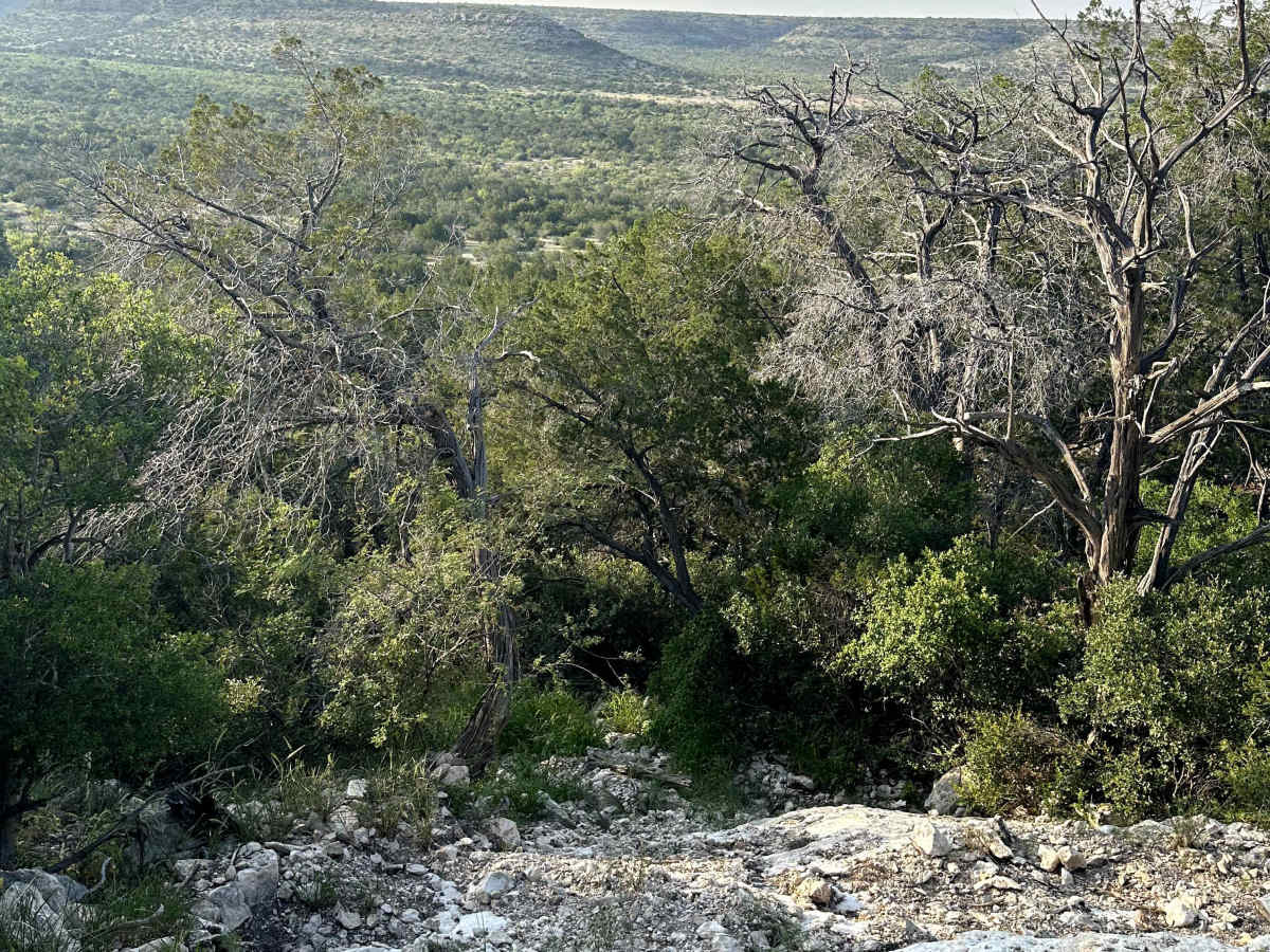 Bounty Hill - V17 photo 5