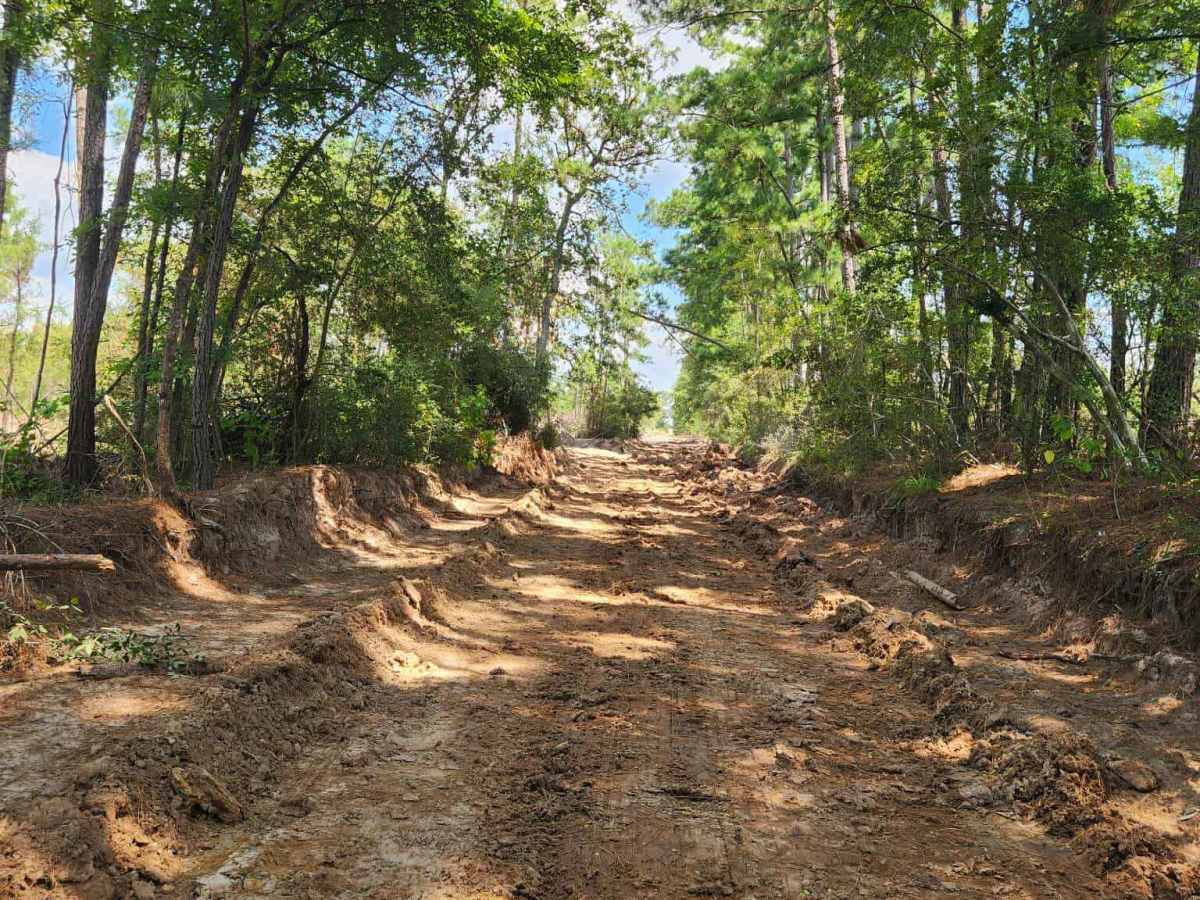 South Fence trail photo