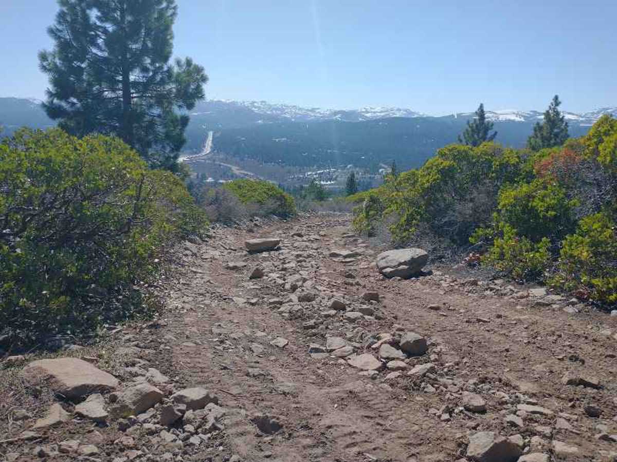 Boca Hill trail photo