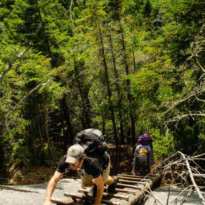 Near Colvin and Blake