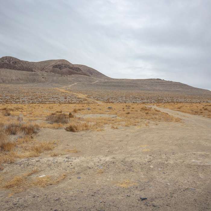 Near Lone Mountain Summit