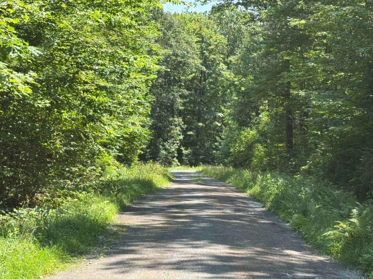 Morey Road photo 6