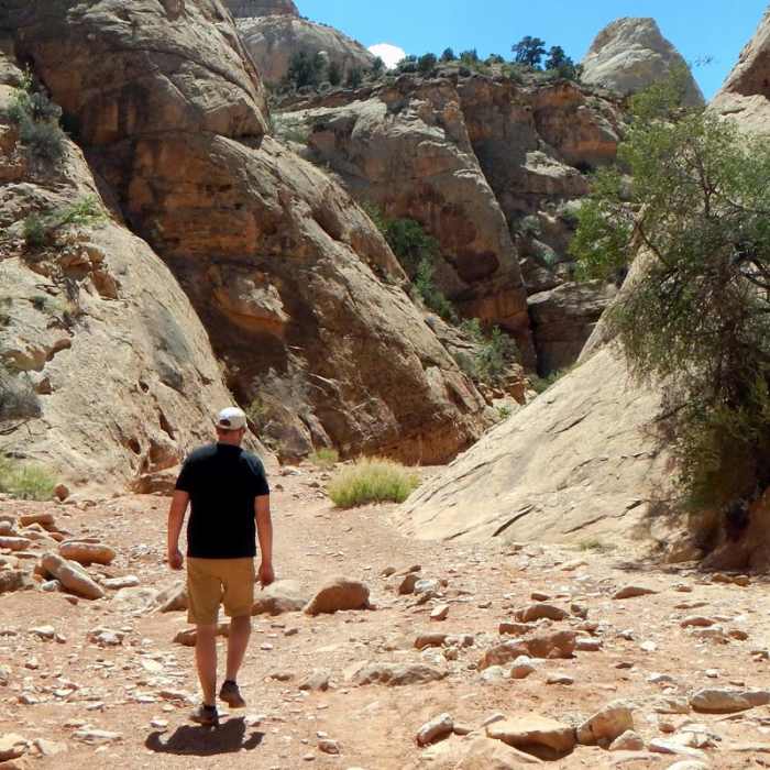 Near Capitol Gorge to the Tanks
