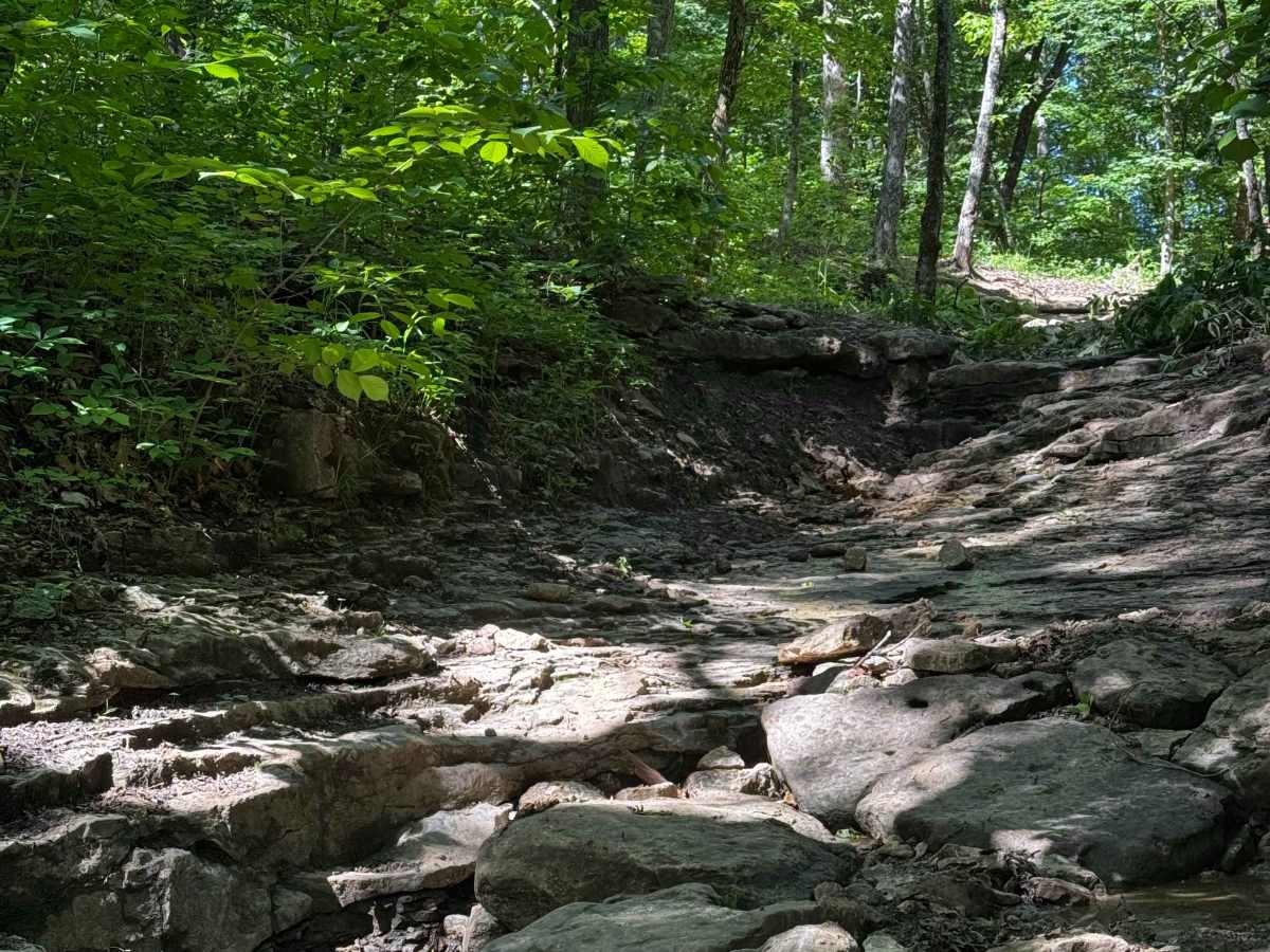 Inner Track 30 photo 3