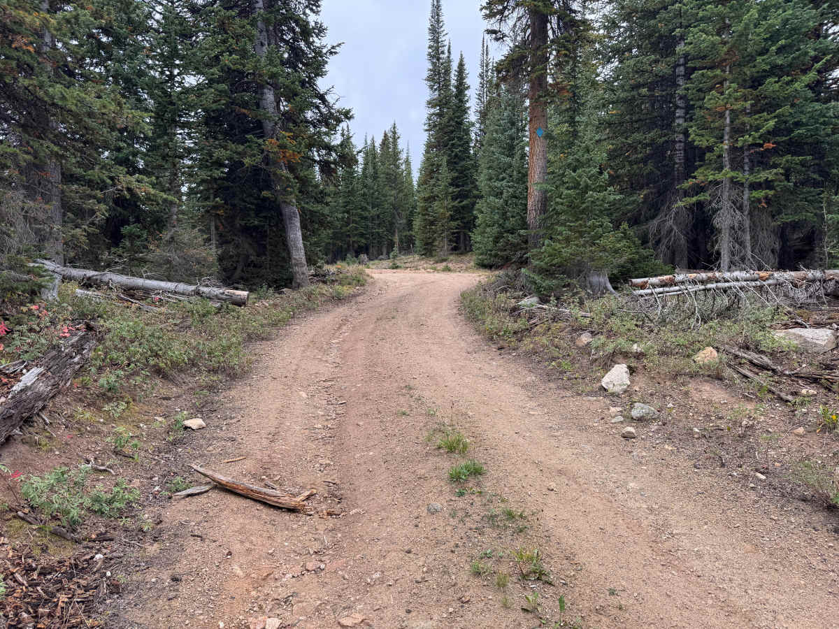 Lenado Road photo 5