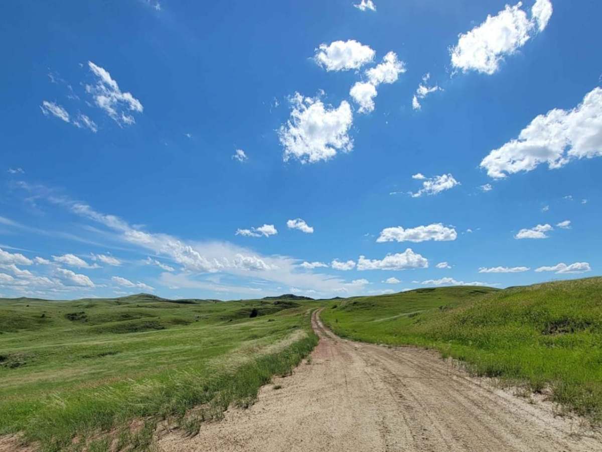 Tour of the Grasslands photo 6