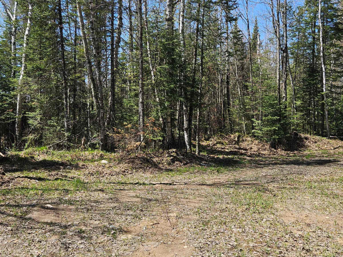Stoney Creek Loop photo 2