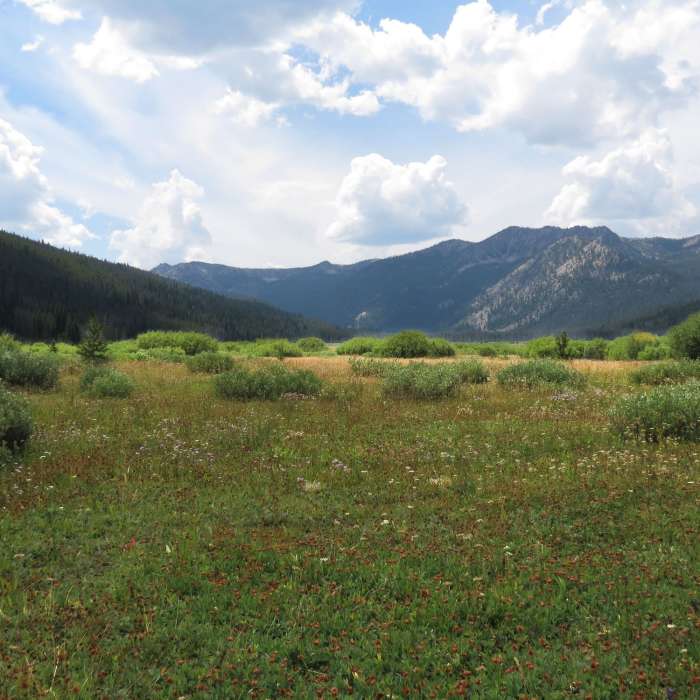 Near Idaho Centennial Trail: Section 23