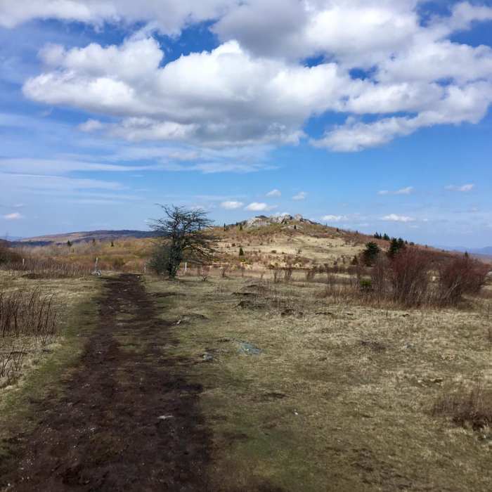 Near Grayson Highlands Backpacking Loop