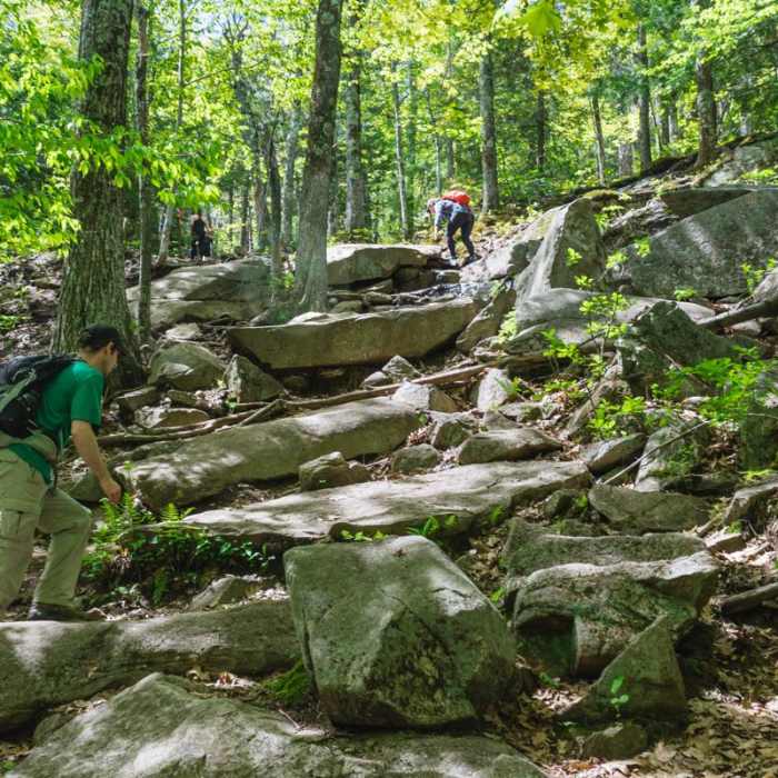 Near Mount Major Loop Near Mount Major Loop