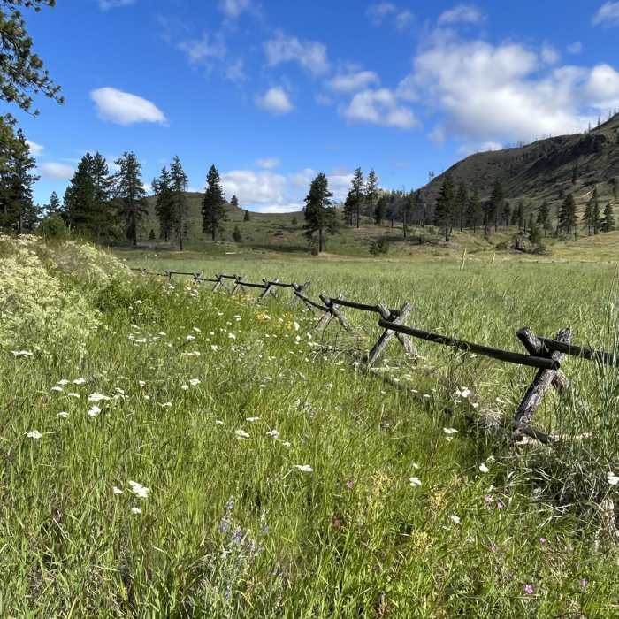 Near Pipestone Canyon Loop