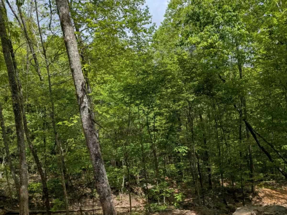 George Winters Trail (GWT) photo 5