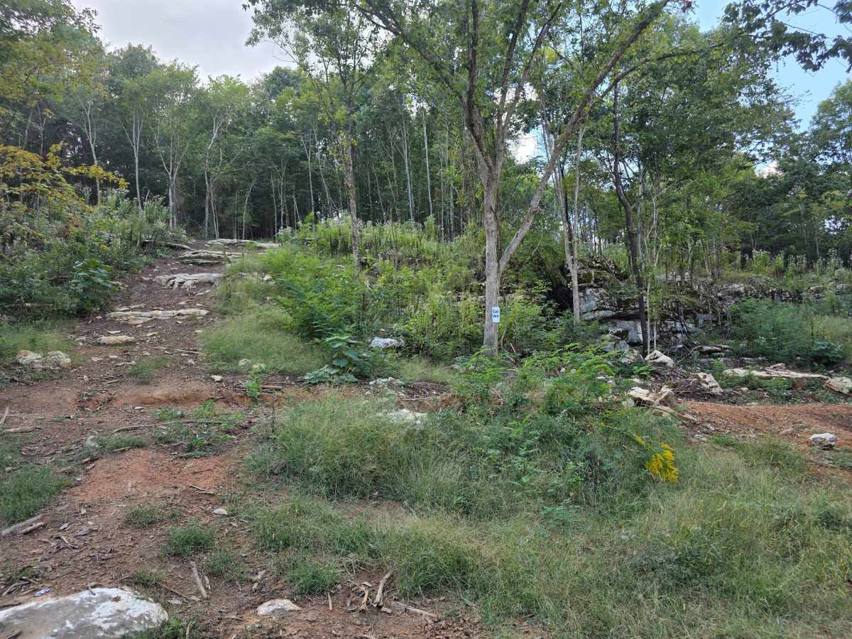 250 Acre Trail photo 6