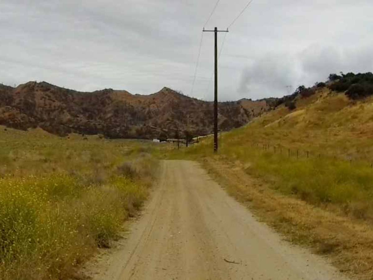 Salt Lick Trail photo 5