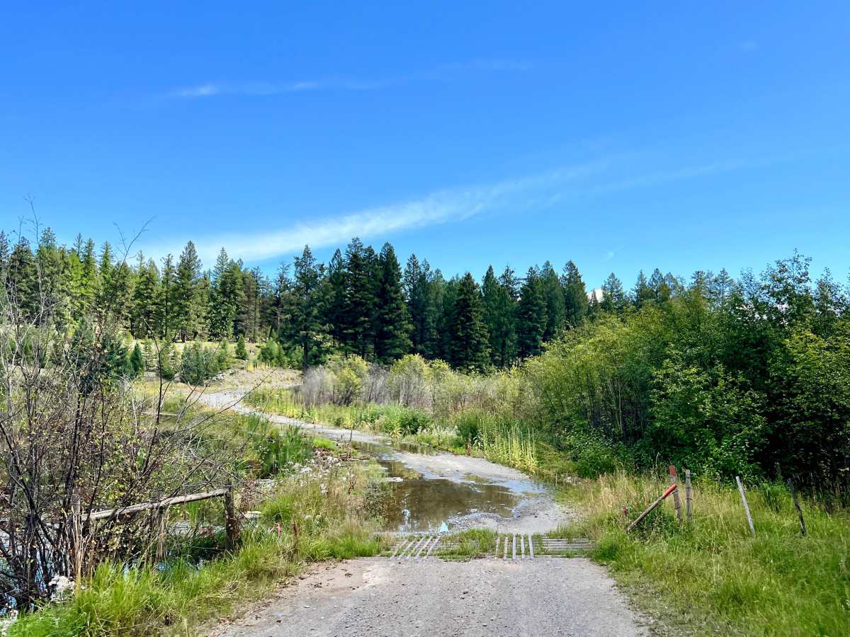 Meadow Creek Road photo 5