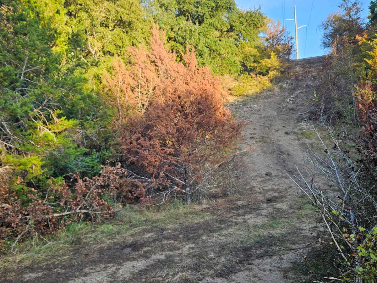 Rattle Snake Overlook photo 3