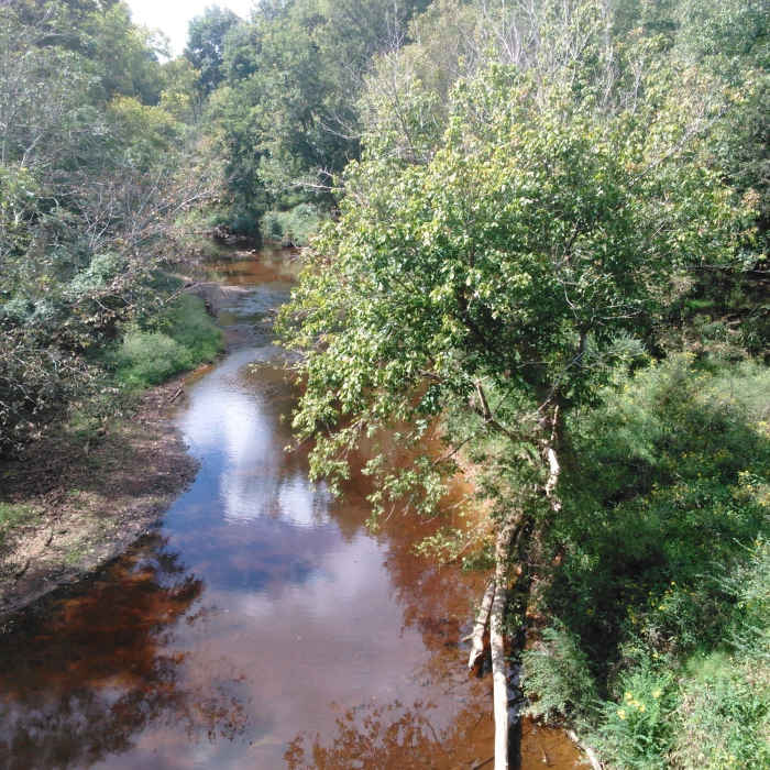 Near Hillsborough Riverwalk