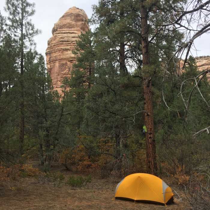 A nice little camp spot near the creek. Near Hammond Canyon (012)