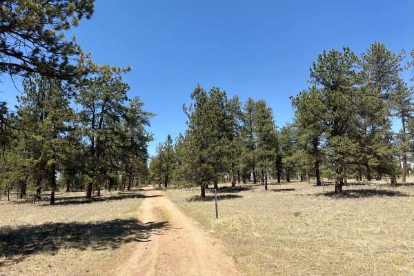 Jackpot Road - FSR 243 1C