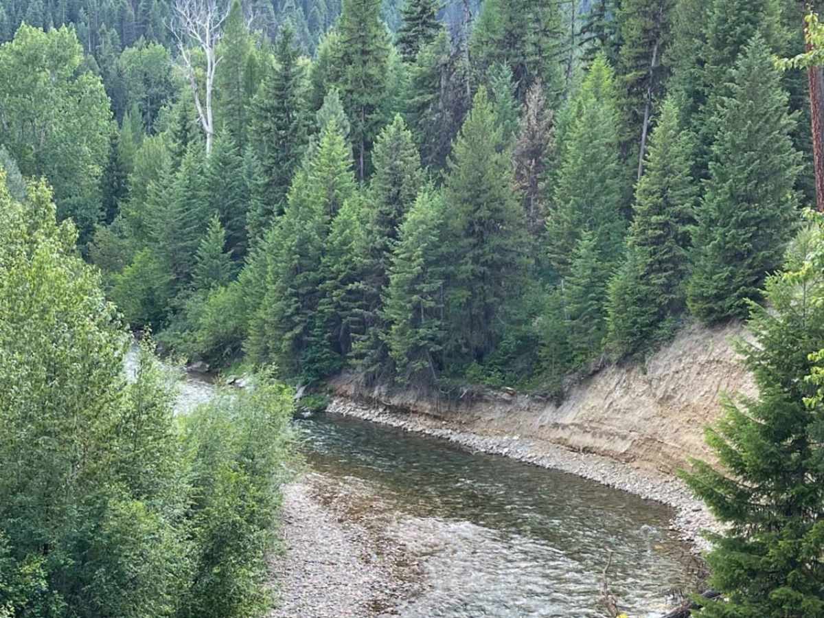 West Fork Fish Creek photo 4