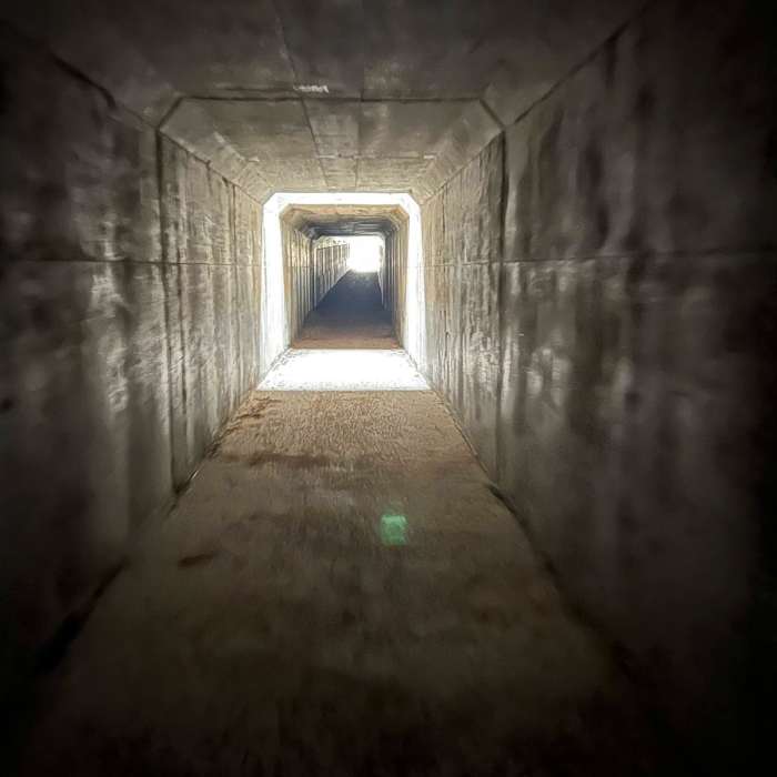 Near Arizona Trail Passage 7: Las Cienegas