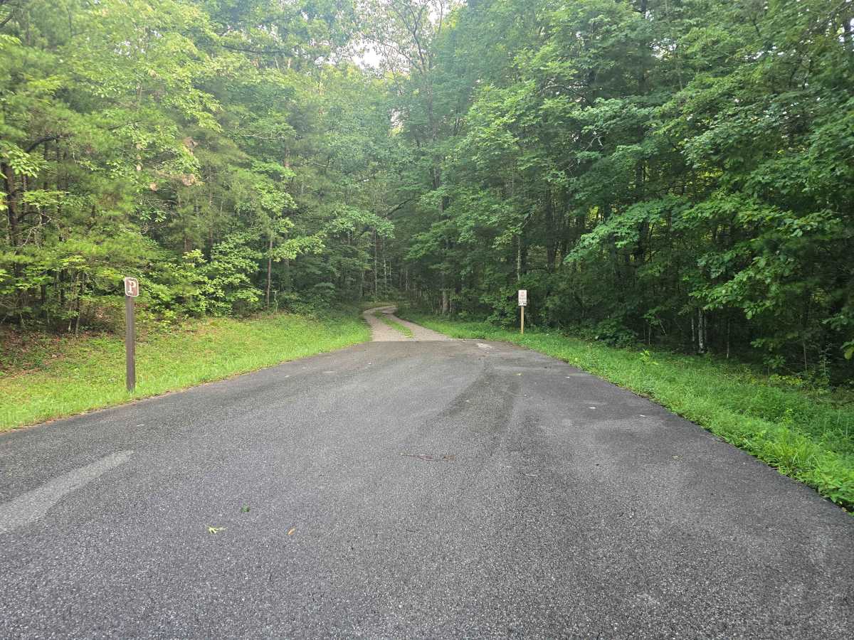 Gar Belvins Road trail photo