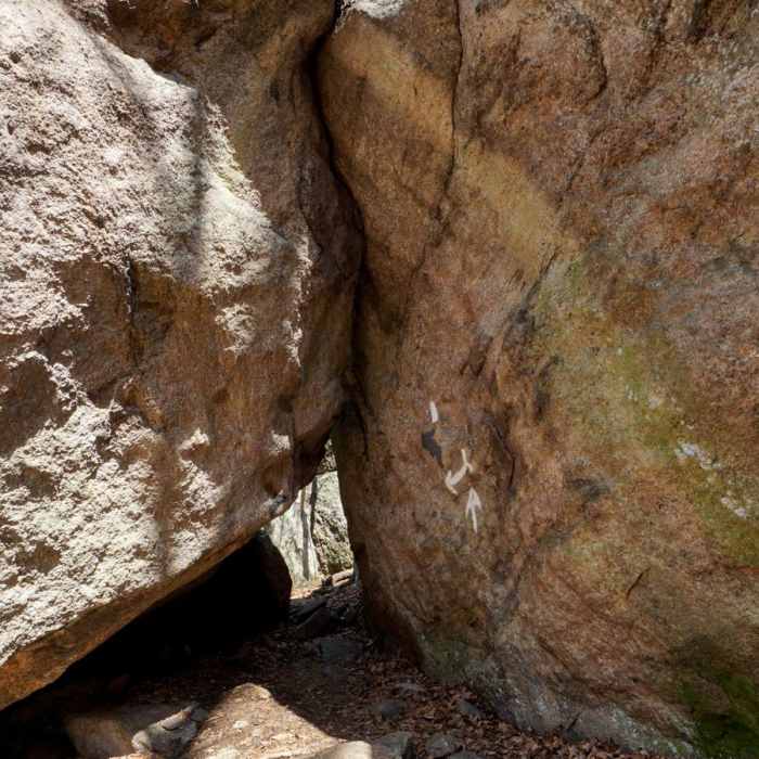 Near Lemon Squeezer + Lichen Trail