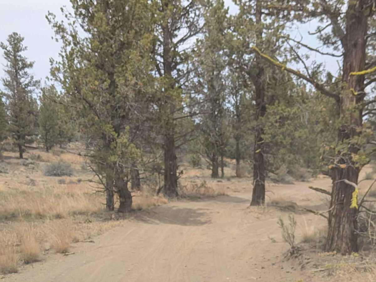 Cline Buttes OHV Trail 21 photo 2