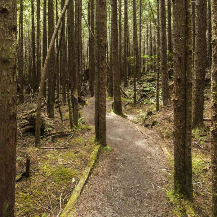 Near Shi Shi Beach Hike