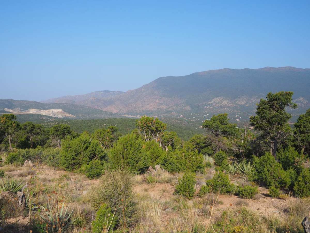 Coyote Mesa Trail photo 2