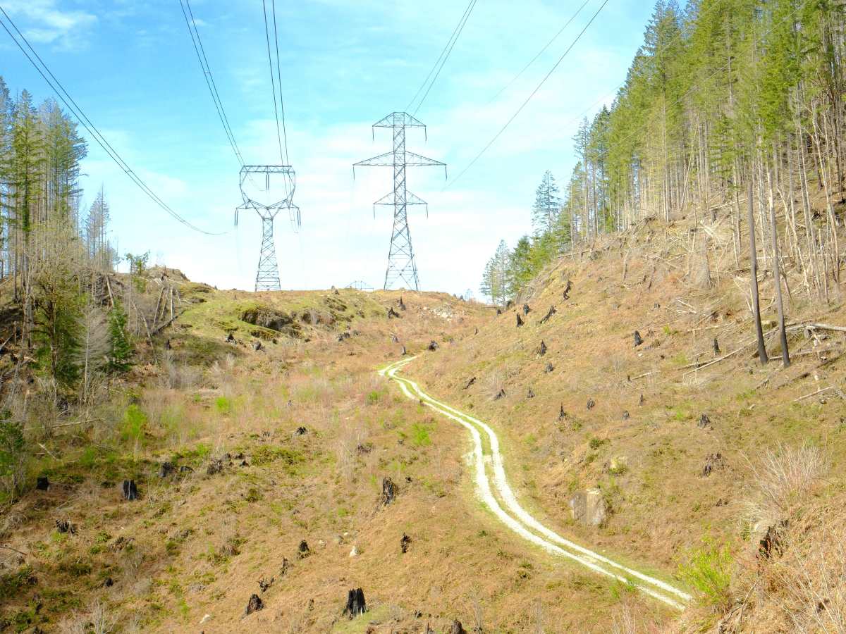 Electric Hills - FS 6512105  photo 2