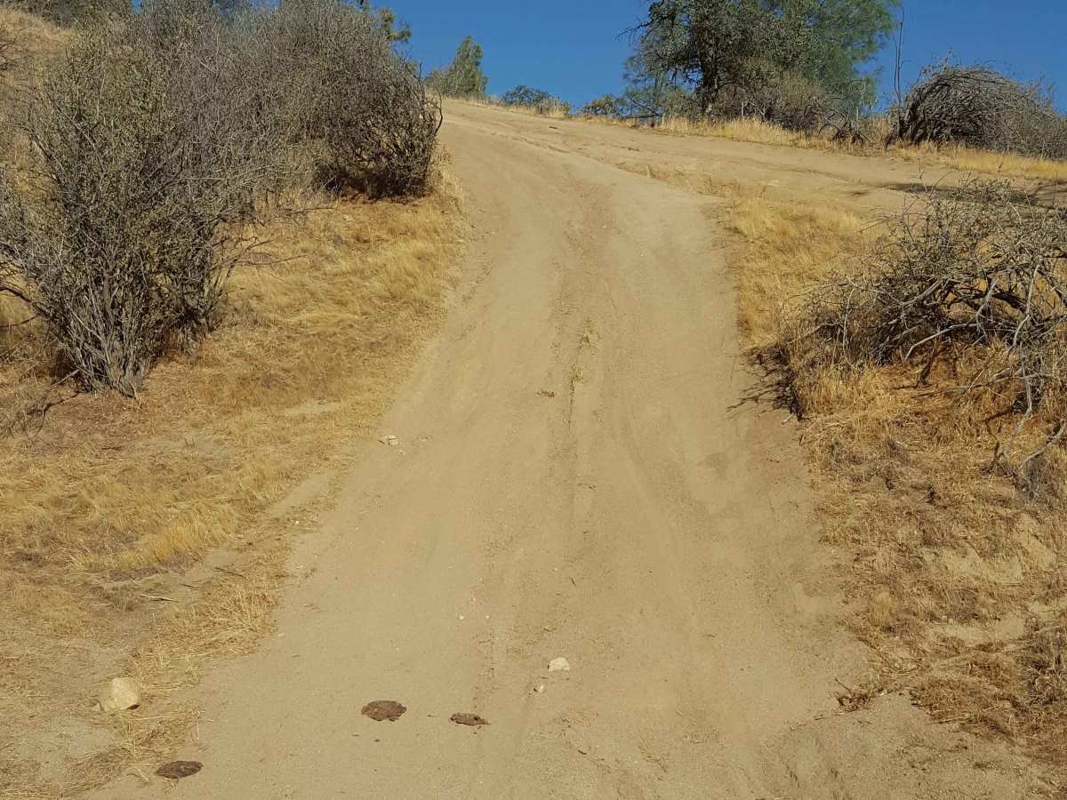 Hogeye Ridge Trail - FS 32E45 photo 5