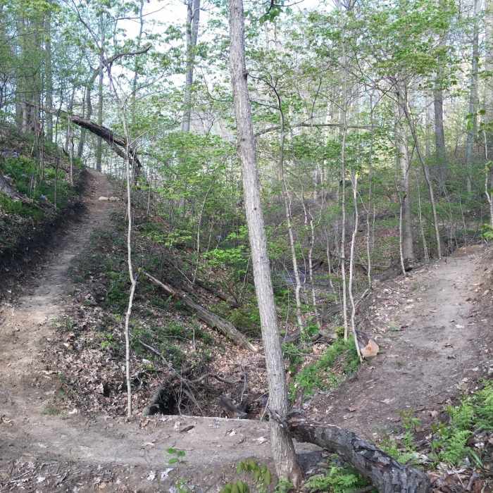 Crossing the second ravine on Trail C. Near Trail B