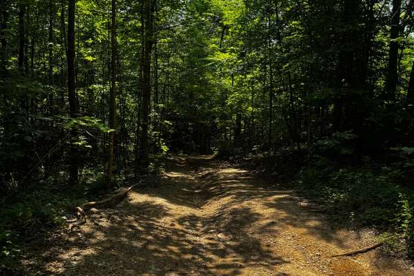 Trail 12A