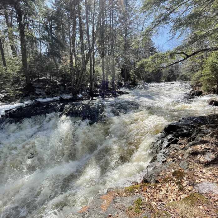 Near Unmarked Trail