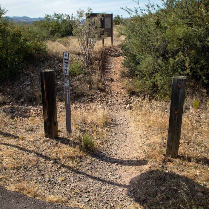 Near Coconino Trail