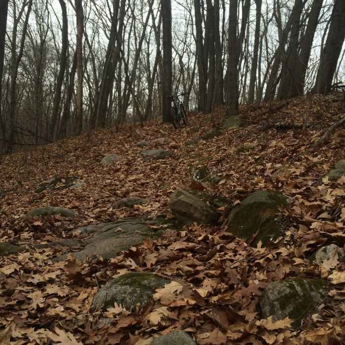 Near Highland State Recreation Area