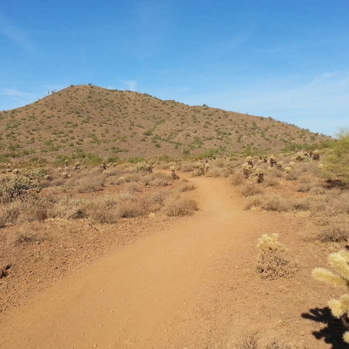 Near Ocotillo Trail