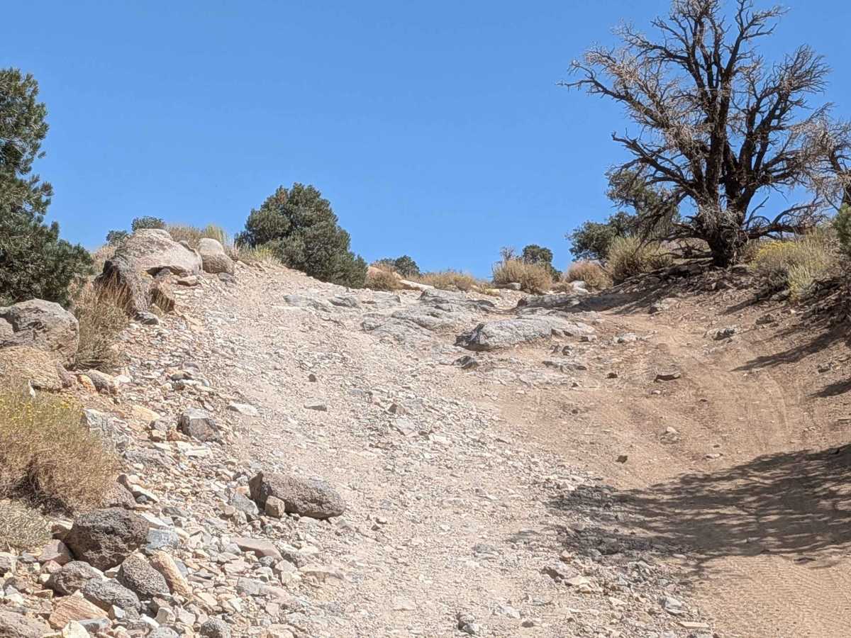 Coyote Flats FS7S10 photo 4