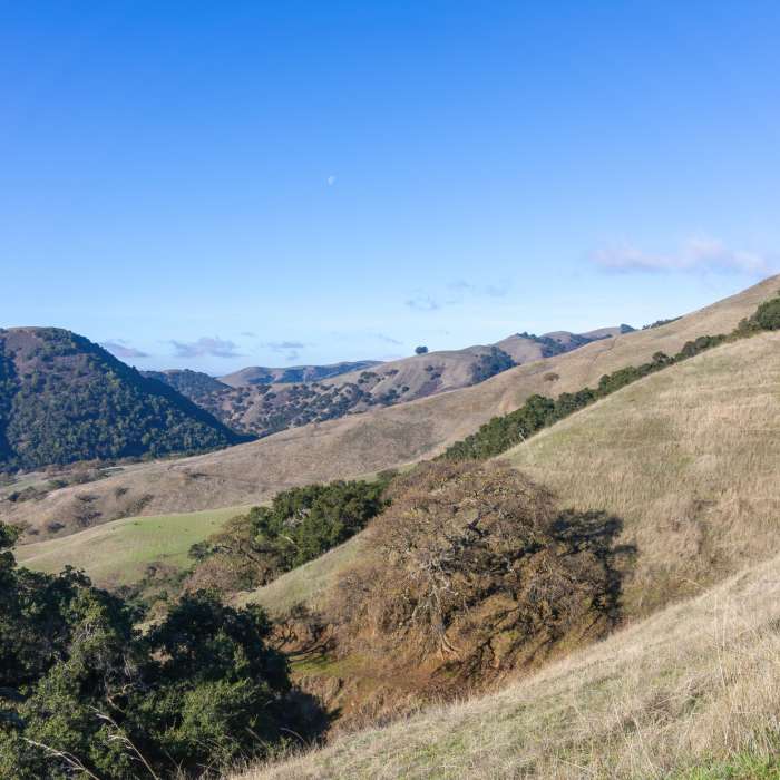 Near Sunol Ridge