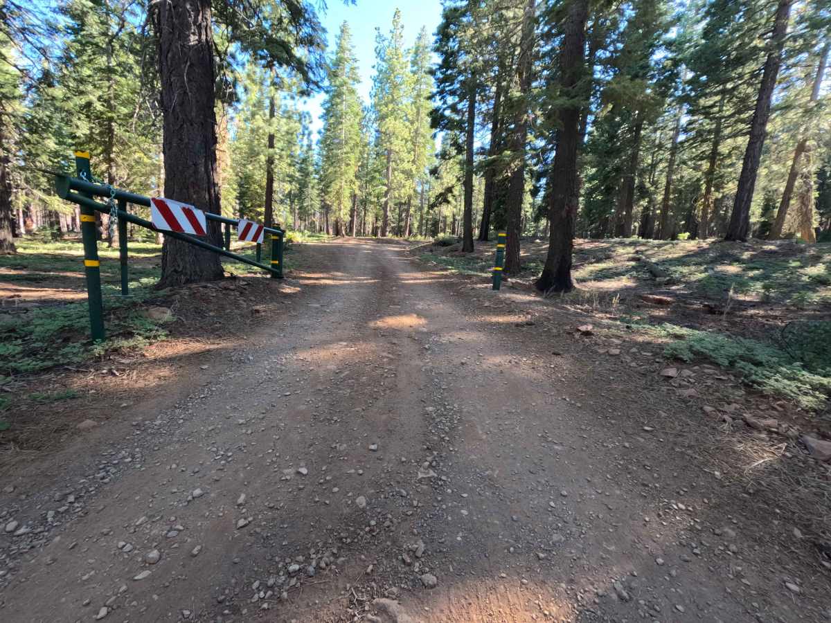 Sagehen Creek - FS 0011 trail photo
