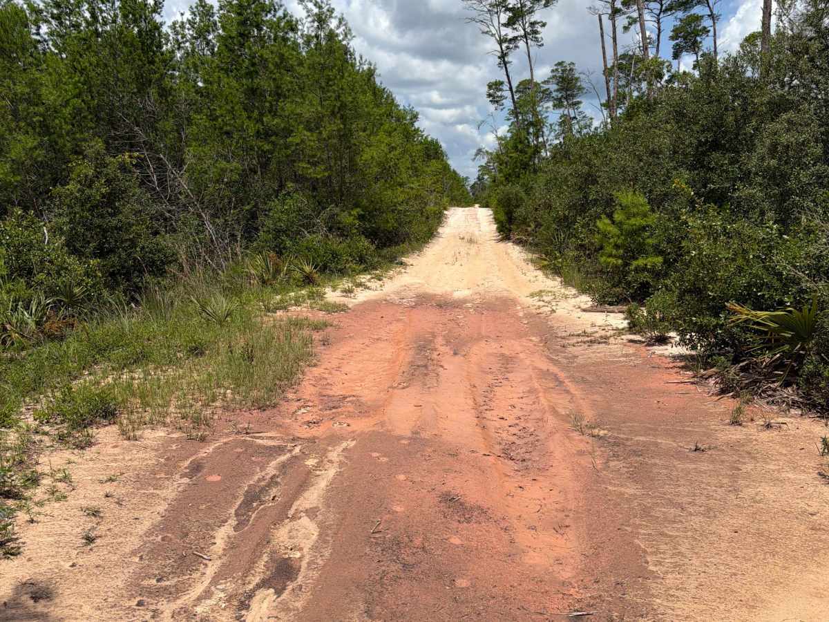 ONF 22-10.4 trail photo