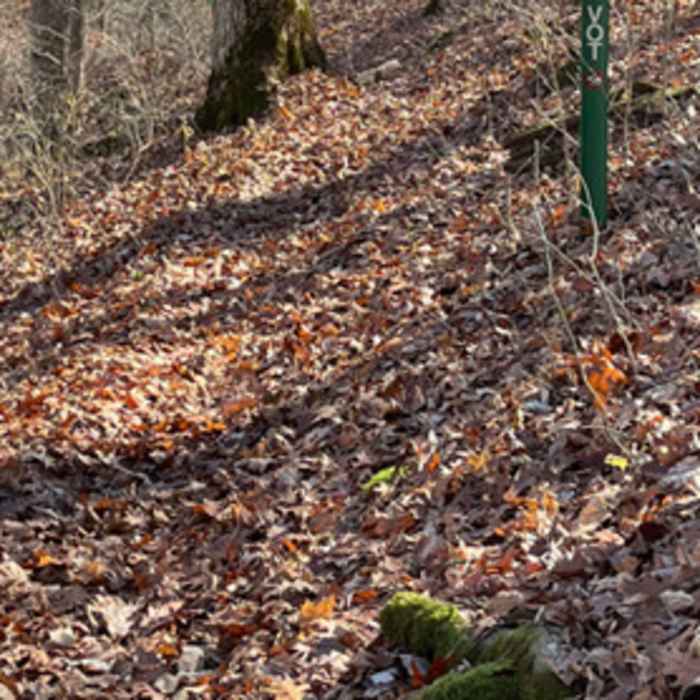 Near Otter Creek Full Loop