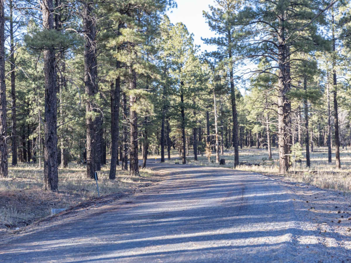 Dogtown Trail trail photo
