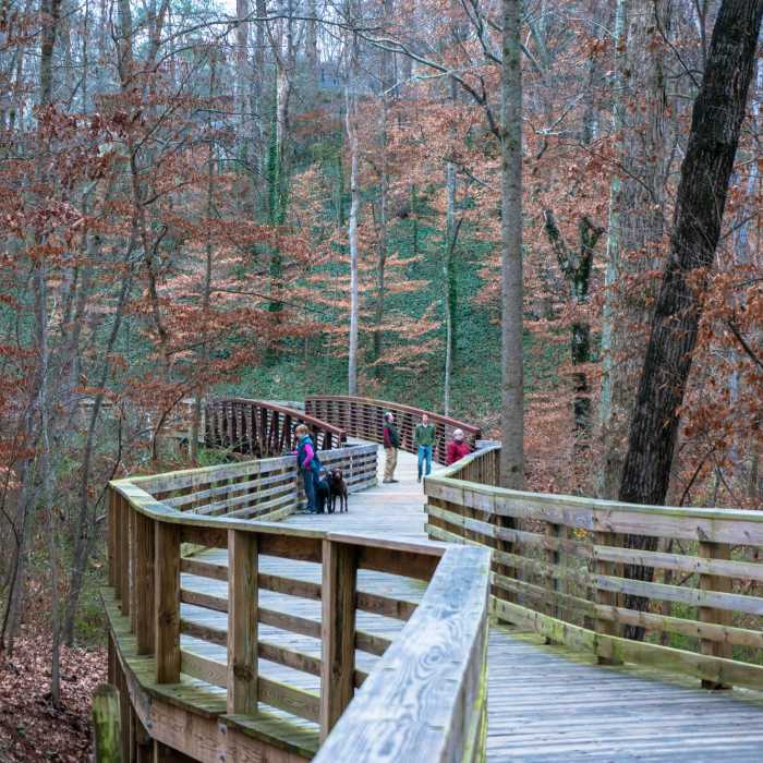 Boardwalk Near Decatur Water Works Ruins