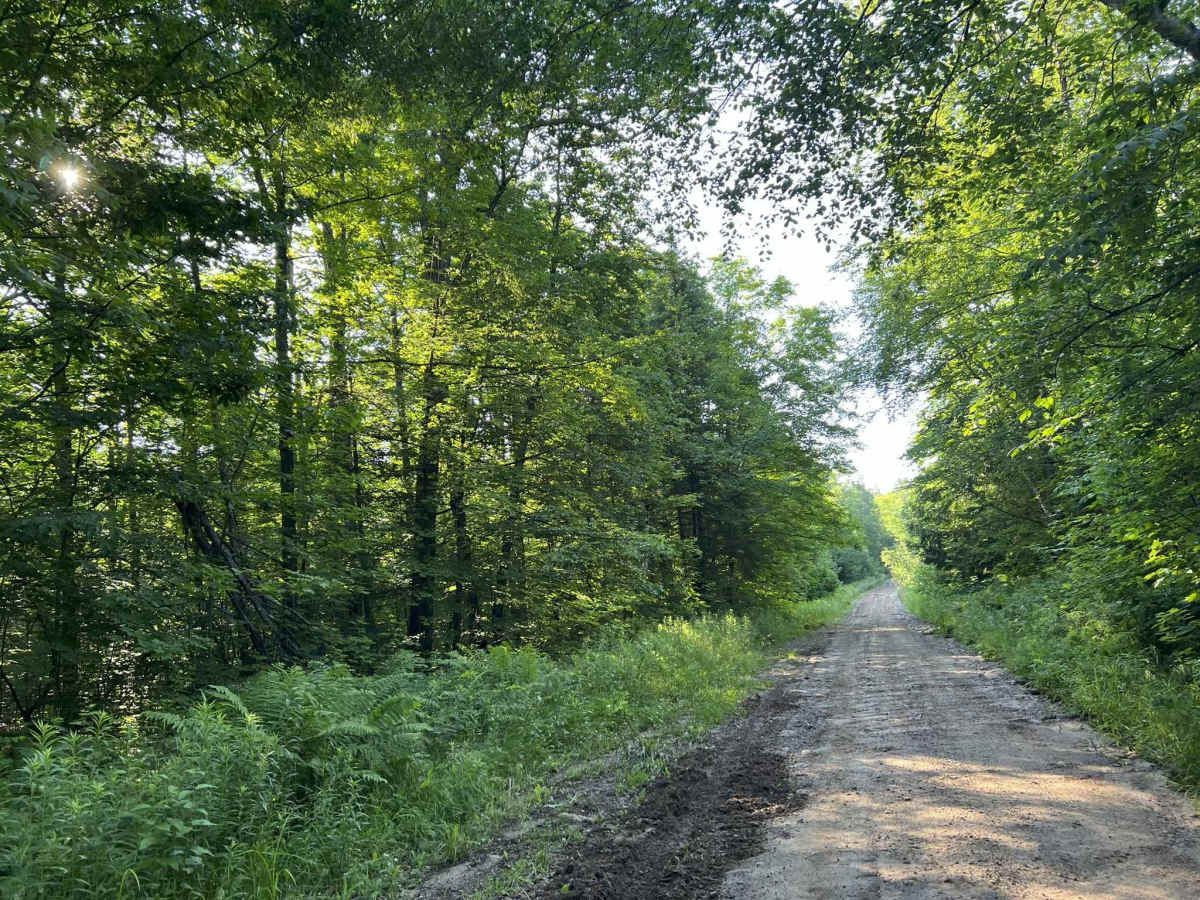 Northwoods Drive photo 5